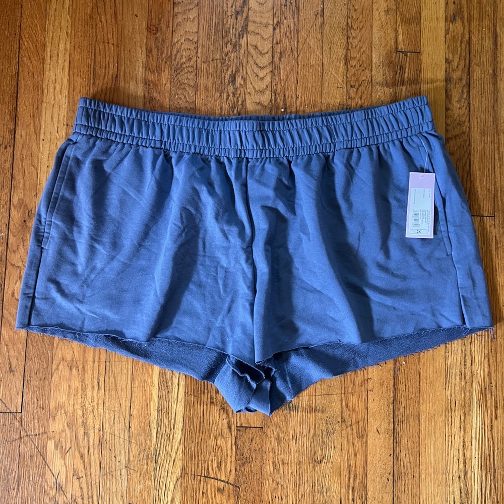 Comfy Blue Women's Shorts 2x